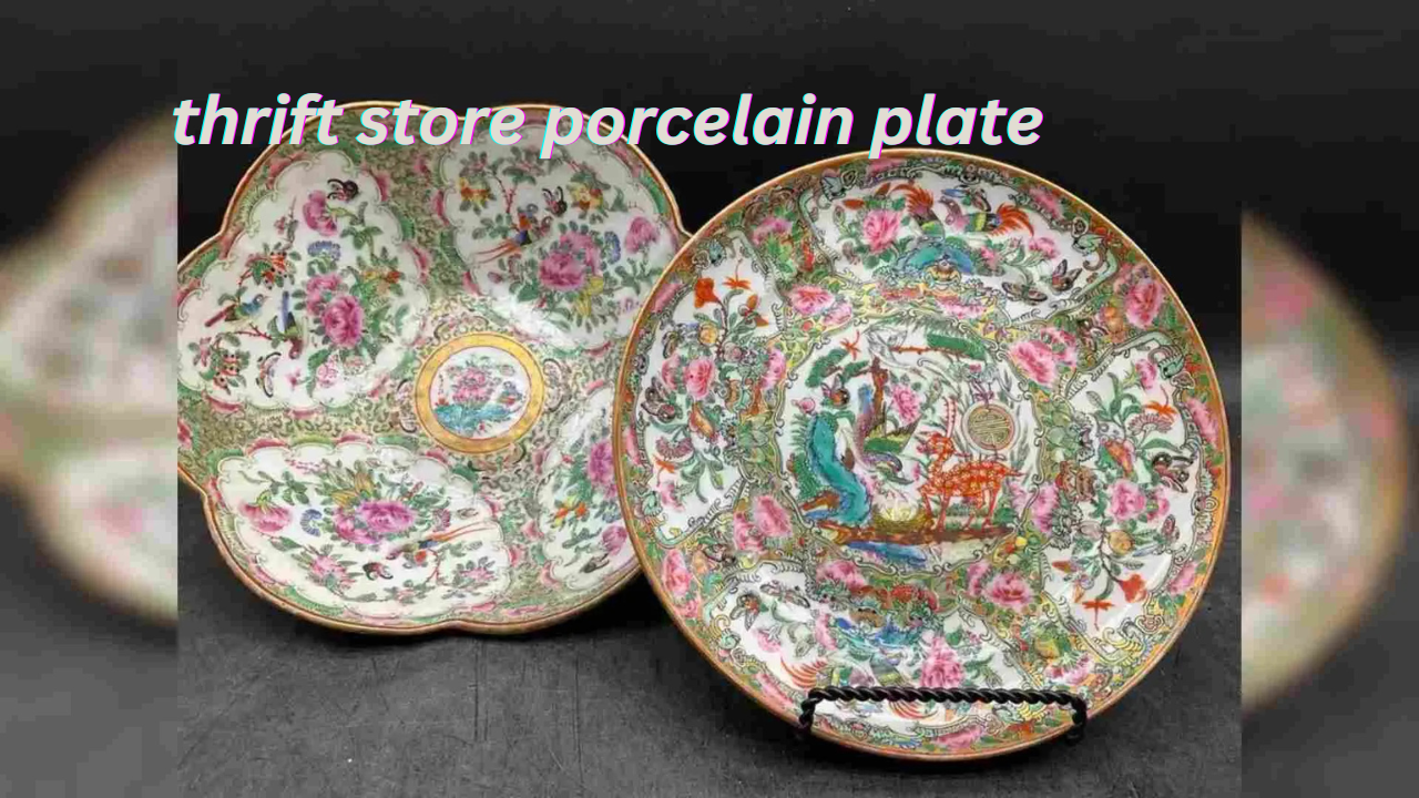 thrift store porcelain plate